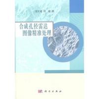 合成孔徑雷達圖像精準處理