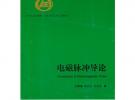 電磁脈沖導論
