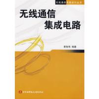 無線通信集成電路/無線通信電路設計叢書