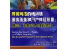 蜂窩網絡的端到端服務質量和用戶體驗質量：概念、架構以及性能優化