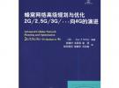 蜂窩網絡高級規劃與優化2G/2.58G/3G/…向4G的演進
