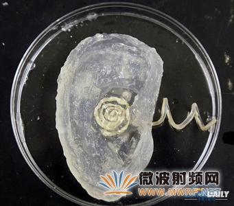 美國普林斯頓大學研究人員用3D打印出仿生耳