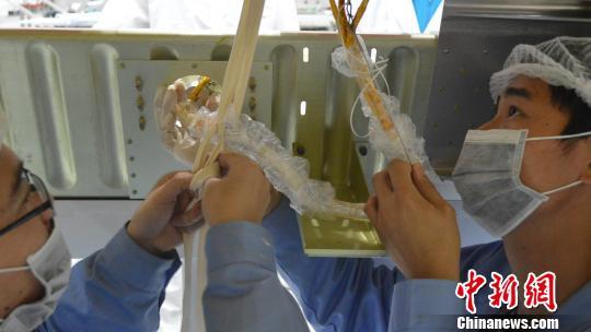 探秘中國小衛星家族：北斗三號待發 量子衛星領跑世界