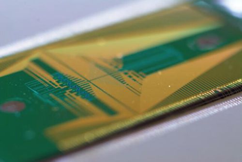 極端光學團隊國際合作實現大規模硅基集成高維光量子芯片